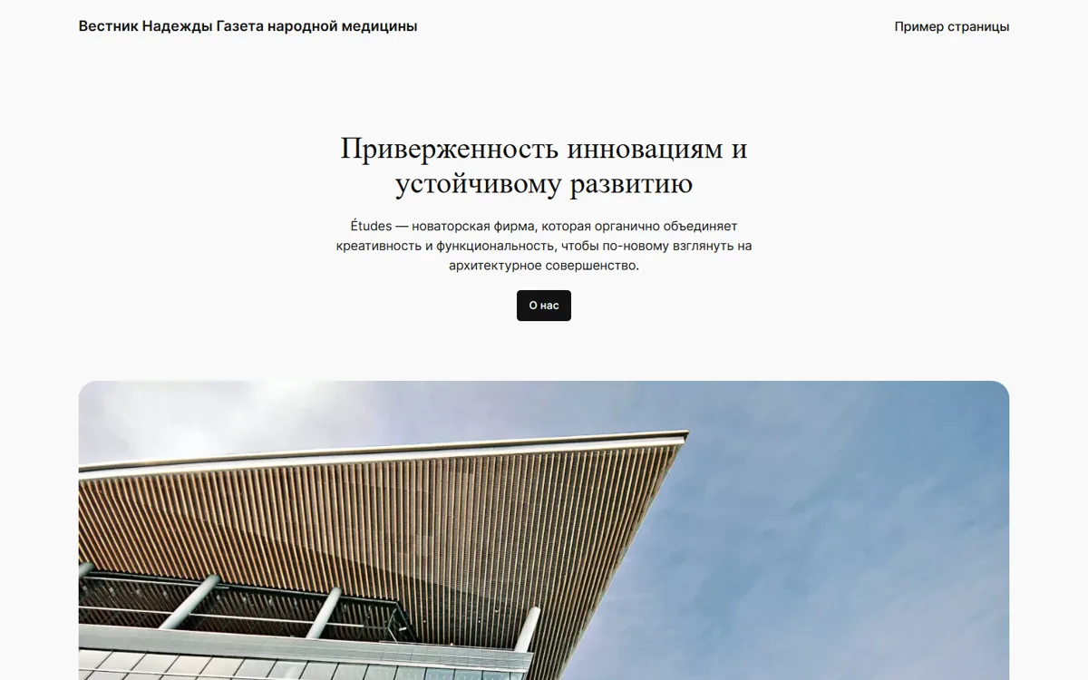 Публичный скриншот проекта vestniknad.ru в продвижении